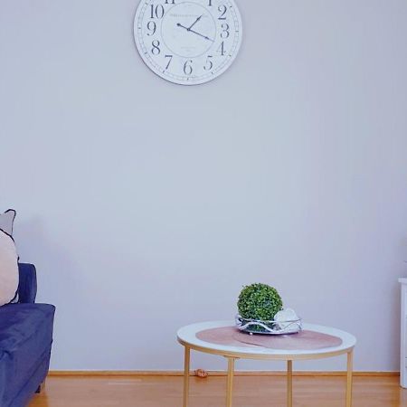 Cosmopolitan Apartament Z Bezplatnym, Prywatnym Parkingiem W Hali Garazowej ทอรูน ภายนอก รูปภาพ